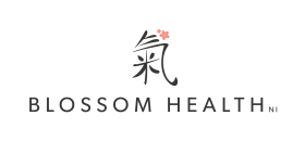 Blossom Health NI logo